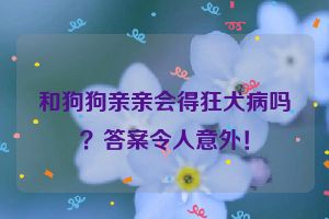 和狗狗亲亲会得狂犬病吗？答案令人意外！