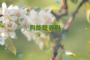 狗能吃姜吗