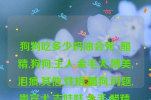 狗狗吃多少奶油会死_醋精,狗狗,主人,金毛犬,博美,泪痕,其他,性格,猫狗,问题,贵宾犬,吉娃娃,金毛,醋精,泪痕