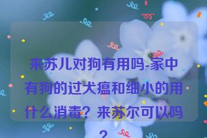 来苏儿对狗有用吗-家中有狗的过犬瘟和细小的用什么消毒？来苏尔可以吗？