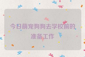 今日萌宠狗狗去学校前的准备工作