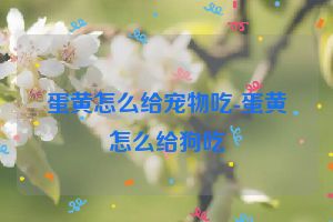 蛋黄怎么给宠物吃-蛋黄怎么给狗吃