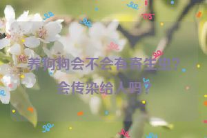 养狗狗会不会有寄生虫?会传染给人吗?