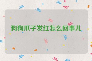 狗狗爪子发红怎么回事儿