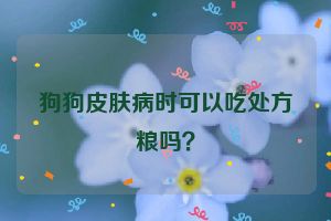 狗狗皮肤病时可以吃处方粮吗？