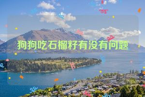 狗狗吃石榴籽有没有问题