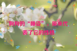 狗狗的“睡姿”，原来代表了它的性格