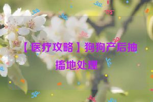 【医疗攻略】狗狗产后抽搐地处理