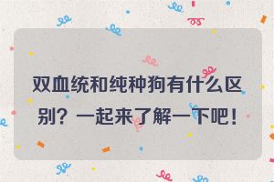 双血统和纯种狗有什么区别？一起来了解一下吧！