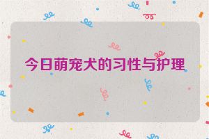 今日萌宠犬的习性与护理