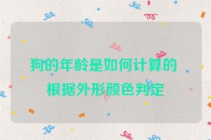 狗的年龄是如何计算的 根据外形颜色判定