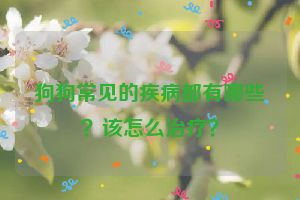 狗狗常见的疾病都有哪些？该怎么治疗？