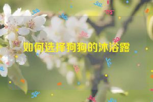 如何选择狗狗的沐浴露