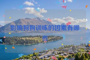 影响狗狗训练的因素有哪些