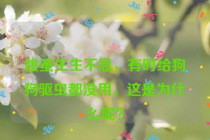跳蚤生生不息，有时给狗狗驱虫都没用，这是为什么呢？