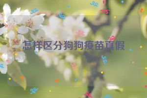 怎样区分狗狗疫苗真假