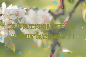 怎样确定狗狗彻底下完崽？各位铲屎管要留意了！