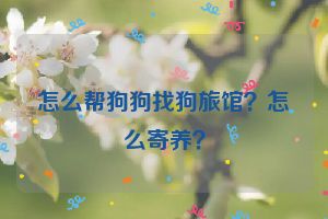 怎么帮狗狗找狗旅馆？怎么寄养？