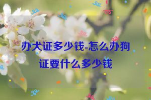 办犬证多少钱-怎么办狗证要什么多少钱