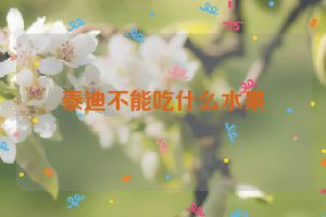 泰迪不能吃什么水果