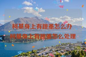 柯基身上有跳蚤怎么办 柯基身上有跳蚤怎么处理