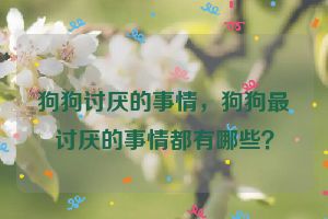 狗狗讨厌的事情，狗狗最讨厌的事情都有哪些？