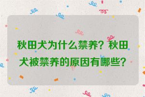 秋田犬为什么禁养？秋田犬被禁养的原因有哪些？