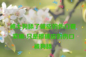 被土狗舔了破皮的伤口要紧嘛-只是擦破皮的伤口被狗舔