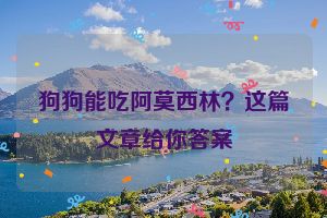 狗狗能吃阿莫西林？这篇文章给你答案