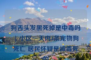 狗舌头发黑死掉是中毒吗 | 小区一天内4条宠物狗死亡 居民怀疑是被毒死的