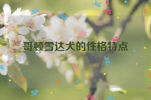 哥顿雪达犬的性格特点