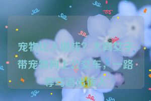 宠物比人值钱?大同女子带宠物狗上公交车,一路辱骂语出惊人