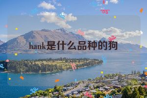 hank是什么品种的狗