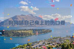 狗狗舔自己身上的伤口要紧吗