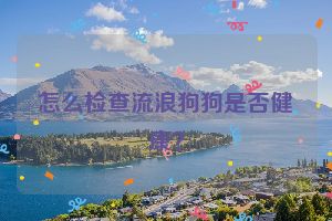 怎么检查流浪狗狗是否健康？