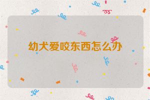 幼犬爱咬东西怎么办