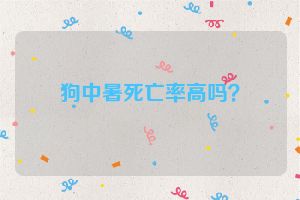 狗中暑死亡率高吗？