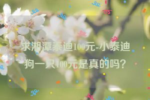 求湘潭泰迪100元-小泰迪狗一只100元是真的吗？