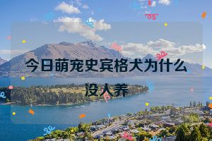 今日萌宠史宾格犬为什么没人养