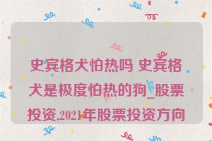 史宾格犬怕热吗 史宾格犬是极度怕热的狗_股票投资,2021年股票投资方向