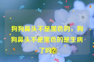 狗狗鼻头不是黑色的，狗狗鼻头不是黑色的是生病了吗？