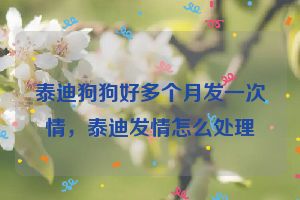 泰迪狗狗好多个月发一次情,泰迪发情怎么处理