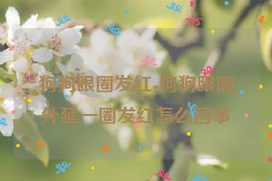 狗狗眼圈发红-狗狗眼圈外延一圈发红怎么回事