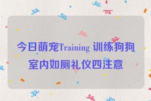 今日萌宠Training 训练狗狗室内如厕礼仪四注意