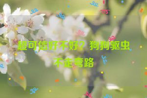 超可信好不好？狗狗驱虫不走弯路