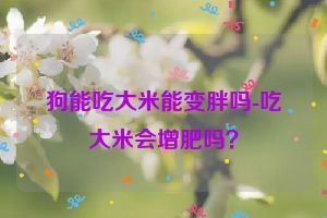 狗能吃大米能变胖吗-吃大米会增肥吗？