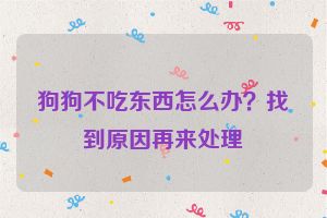 狗狗不吃东西怎么办？找到原因再来处理