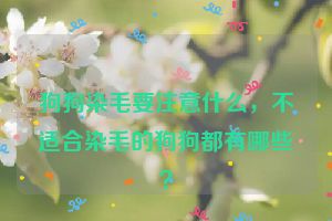 狗狗染毛要注意什么，不适合染毛的狗狗都有哪些？