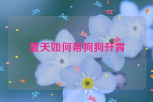 夏天如何帮狗狗开胃