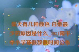 柴犬有几种颜色 白柴最少的原因是什么_2021南平中小学寒假放假时间公布